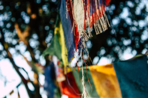Nepal Lumbini Listopadu 2018 Pohledu Tibetské Vlajky Posvátný Buddha Garden — Stock fotografie