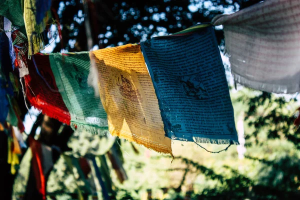 Lumbini Nepal November 2018 Visa Tibetanska Flaggor Heliga Buddha Garden — Stockfoto