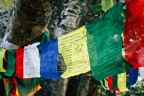 Lumbini Nepal Kasım 2018 Görünümü Tibet Bayraklar Lumbini Kutsal Buda — Stok fotoğraf