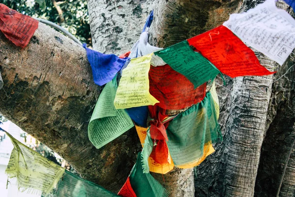 Lumbini Nepal Novembro 2018 Vista Das Bandeiras Tibetanas Jardim Buda — Fotografia de Stock