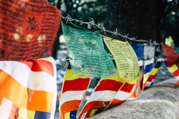Νεπάλ Lumbini Νοεμβρίου 2018 Προβολή Του Θιβέτ Σημαίες Στο Ιερό — Φωτογραφία Αρχείου