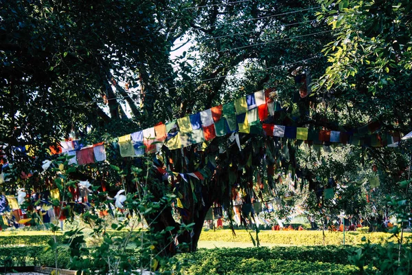 Lumbini Nepal Novembre 2018 Veduta Delle Bandiere Tibetane Nel Giardino — Foto Stock