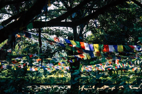 Lumbini Nepal Novembro 2018 Vista Das Bandeiras Tibetanas Jardim Buda — Fotografia de Stock