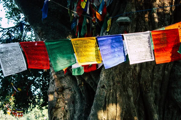 Nepal Lumbini Listopada 2018 Widok Tybetańskie Flagi Ogrodzie Święte Buddy — Zdjęcie stockowe