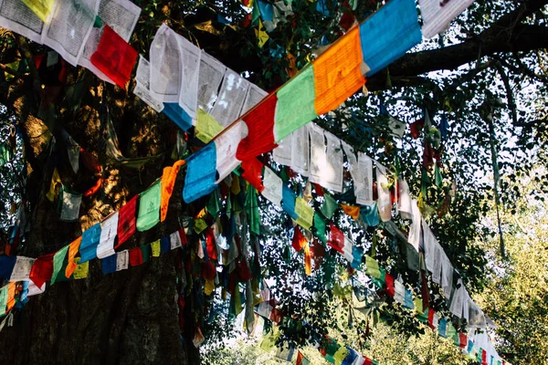 Lumbini Nepal Noviembre 2018 Vista Las Banderas Tibetanas Jardín Del —  Fotos de Stock