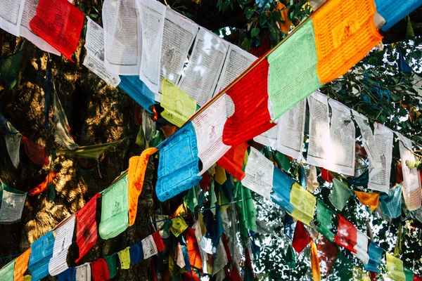 Nepal Lumbini Listopada 2018 Widok Tybetańskie Flagi Ogrodzie Święte Buddy — Zdjęcie stockowe