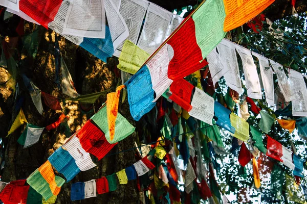Lumbini Nepal November 2018 Blick Auf Tibetische Flaggen Heiligen Buddha — Stockfoto