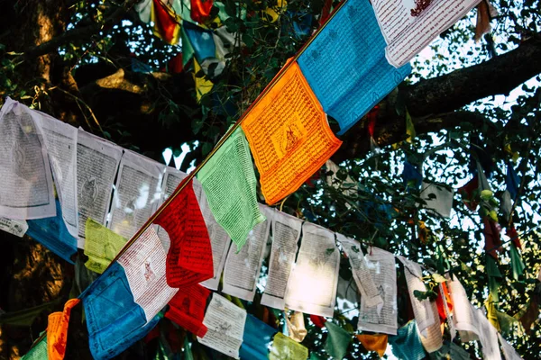 Lumbini Népal Novembre 2018 Vue Des Drapeaux Tibétains Jardin Bouddha — Photo