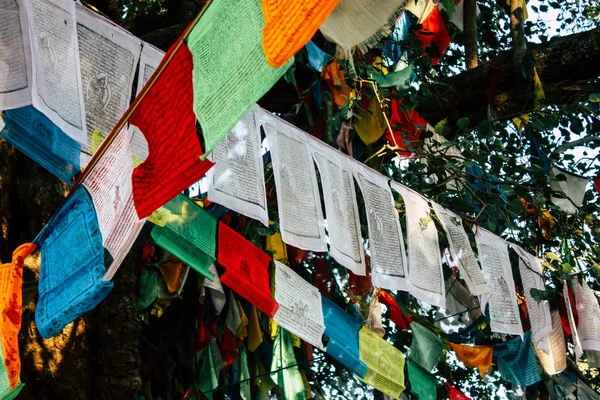 Lumbini Nepal Kasım 2018 Görünümü Tibet Bayraklar Lumbini Kutsal Buda — Stok fotoğraf