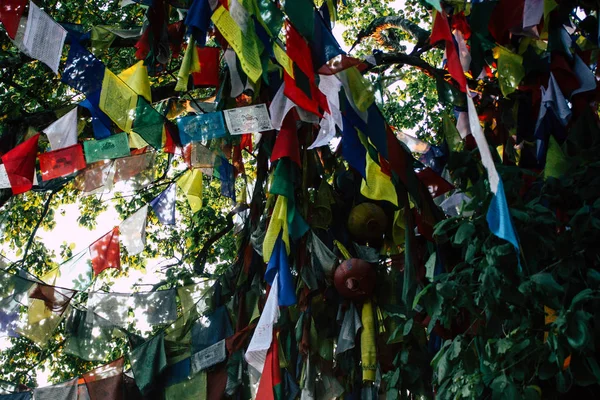 Lumbini Nepal Novembro 2018 Vista Das Bandeiras Tibetanas Jardim Buda — Fotografia de Stock