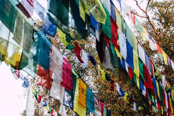 Lumbini Nepal Novembro 2018 Vista Das Bandeiras Tibetanas Jardim Buda — Fotografia de Stock