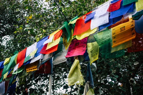 Lumbini Népal Novembre 2018 Vue Des Drapeaux Tibétains Jardin Bouddha — Photo