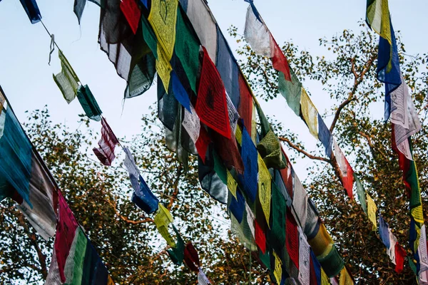 尼泊尔蓝比尼分校2018年11月2日下午在蓝比尼圣佛花园看藏旗 — 图库照片