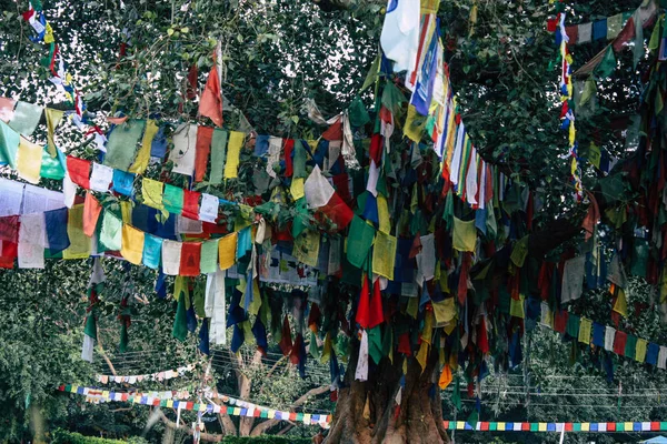 Nepal Lumbini Listopada 2018 Widok Tybetańskie Flagi Ogrodzie Święte Buddy — Zdjęcie stockowe