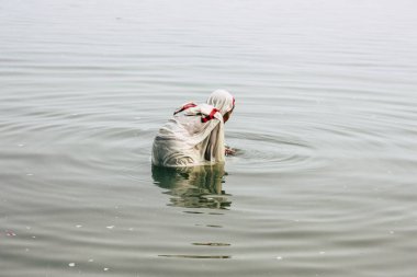 Varanasi Hindistan 10 Kasım 2018 bilinmeyen eski Kızılderili kadın Varanasi, Ganj Nehri'nde öğleden sonra dua görünümünü