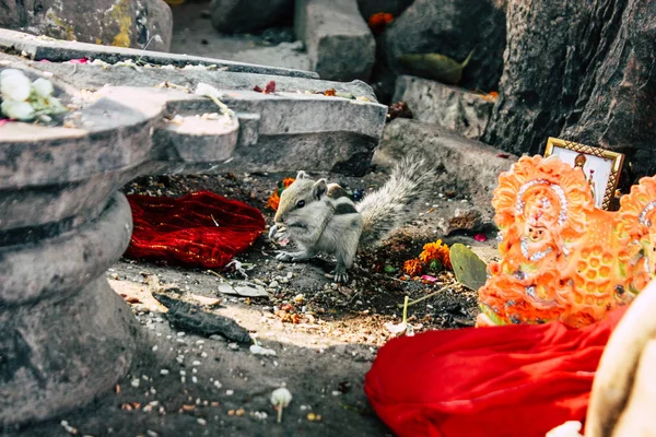 Varanasi India พฤศจ กายน 2018 Closeup ของว Shiva งอย Assi — ภาพถ่ายสต็อก