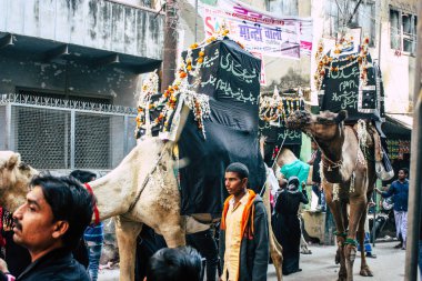 Varanasi Hindistan 17 Kasım 2018 Aşure anmalar Varanasi Arap bölgesi içinde bir parçası olarak bir alay sabah deve görünümünü alın kısmı