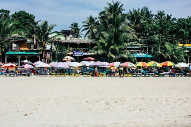 Arambol Goa Hindistan 24 Kasım 2018 geleneksel restoran shack görünümünü öğleden sonra Arambol beach üzerinde