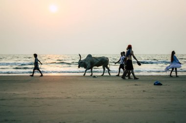 Arambol Goa Hindistan 24 Kasım 2018 Goa ziyaret ve öğleden sonra Arambol plaj üzerinde yürüme bilinmeyenli turist görünümünü