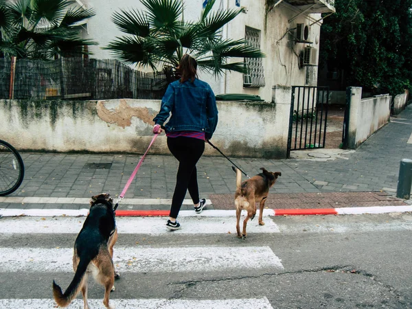 Tel Aviv İsrail 21 Aralık 2018 bilinmeyen İsrail halkının öğleden sonra Tel Aviv sokaklarında yürüyüş görünümü