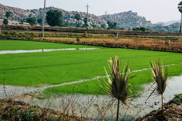 Paisaje Naturaleza Alrededor Hampi Karnataka Sur India — Foto de Stock