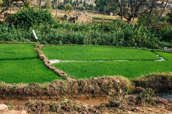 Paisaje Naturaleza Alrededor Hampi Karnataka Sur India — Foto de Stock