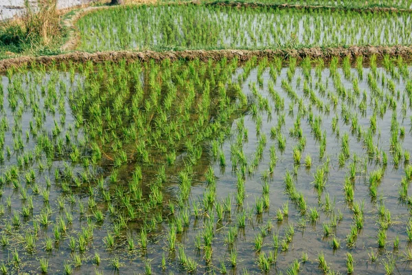 Paisaje Naturaleza Alrededor Hampi Karnataka Sur India — Foto de Stock