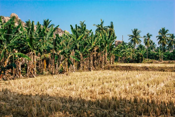 Paisaje Naturaleza Alrededor Hampi Karnataka Sur India — Foto de Stock