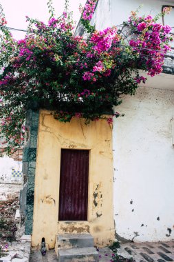 Pondicherry Tamil Nadu Hindistan 21 Ocak 2018 Labourdonnais sokak görünümünü yer alan Fransız Sömürge şehir Pondicherry beyaz Town bölgesinde, sabah