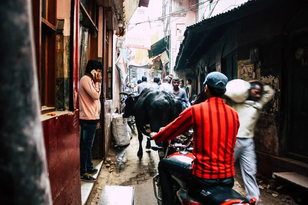 Varanasi Hindistan Kasım 2018 Varanasi Eski Bölge Dar Sokakta Öğleden — Stok fotoğraf