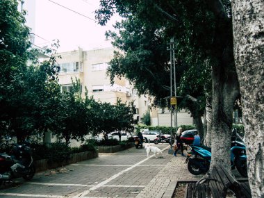 Tel Aviv İsrail 12 Aralık 2018 bilinmeyenli İsrail halkının öğleden sonra Tel Aviv sokaklarında yürüyüş görünümü
