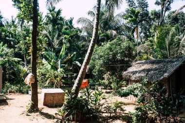 Om 28 Ocak 2019 Gokarna Karnataka Hindistan plaj orman kafe guesthouse Om Beach sabah görünümünü