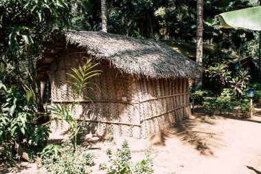 Om 28 Ocak 2019 Gokarna Karnataka Hindistan plaj orman kafe guesthouse Om Beach sabah görünümünü