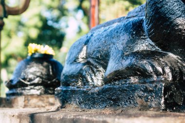 Auroville Tamil Nadu 24 Ocak 2019 öğleden sonra Güney Hindistan'da Shiva ve hali bir tapınağın görünümü