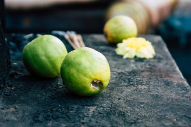 Auroville Tamil Nadu 24 Ocak 2019 öğleden sonra Güney Hindistan'da Shiva ve hali bir tapınağın görünümü