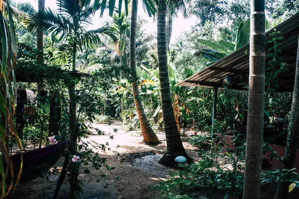 Playa Gokarna Karnataka India Enero 2019 Vista Selva Cafetería Casa —  Fotos de Stock