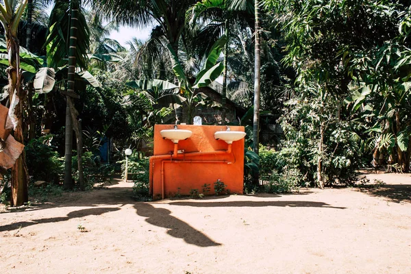 Beach Gokarna Karnataka Indien Januar 2019 Blick Auf Das Dschungel — Stockfoto