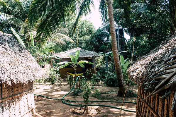 Playa Gokarna Karnataka India Enero 2019 Vista Selva Cafetería Casa —  Fotos de Stock