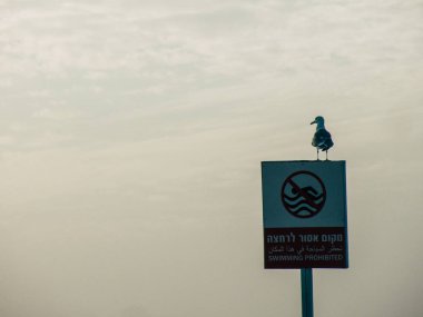 Tel Aviv İsrail 9 Şubat 2019 görünümü öğleden sonra Tel Aviv beach,