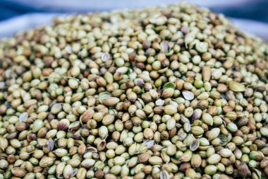 Gokarna Karnataka Hindistan 12 Şubat 2019 geleneksel Hint baharat farklı bir Closeup satılan Gokarna şehrin ana yol öğleden sonra bulunan bir dükkanda