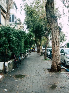 Tel Aviv İsrail 18 Şubat 2019 bilinmeyen İsrail halkının öğleden sonra Tel Aviv sokaklarında yürüyüş görünümü