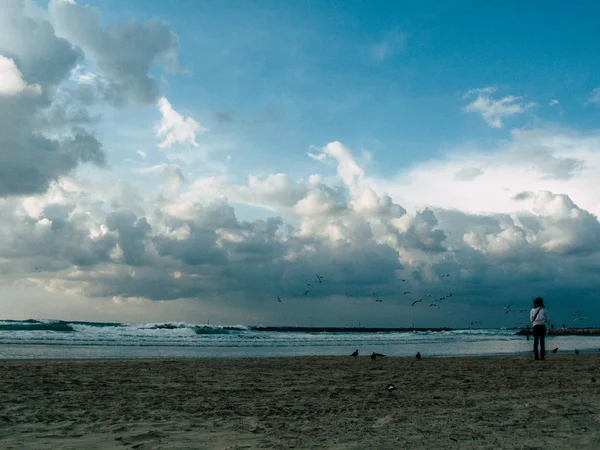 Tel Aviv İsrail 19 Şubat 2019 eğleniyor plaj Tel Aviv tarihinde öğleden sonra bilinmeyen İsrail halkının görünümü