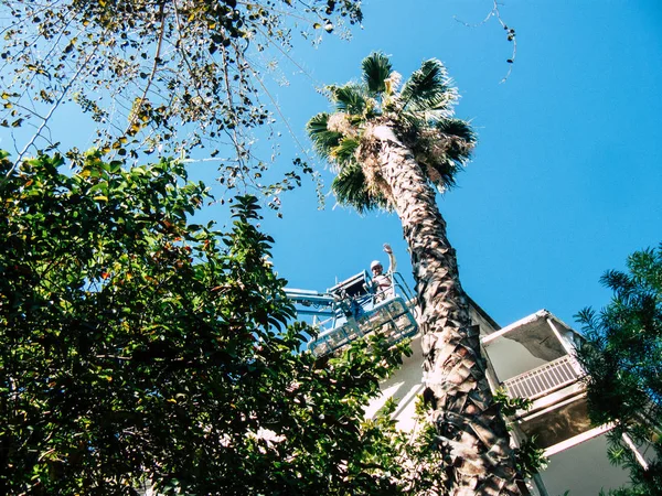 Tel Aviv Israël Février 2019 Vue Travailleur Israélien Dans Les — Photo