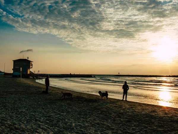 Tel Aviv Israele Febbraio 2019 Veduta Sconosciuti Israeliani Che Divertono — Foto Stock