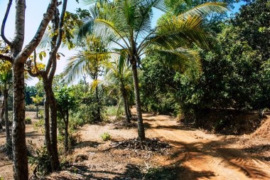 Hindistan'ın renkleri