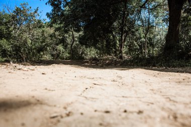 Hindistan'ın renkleri