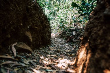 Hindistan'ın renkleri