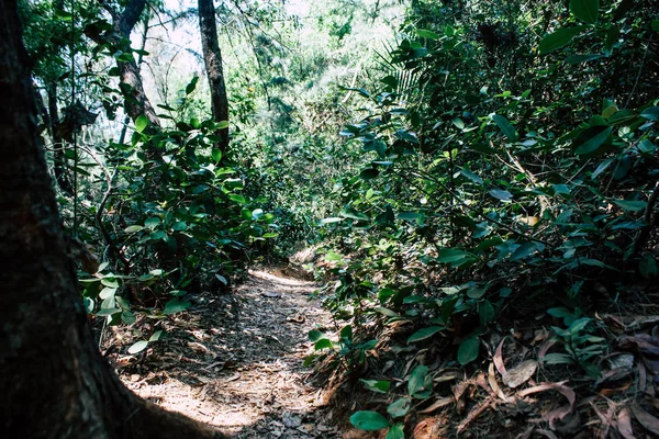 Cores da Índia — Fotografia de Stock