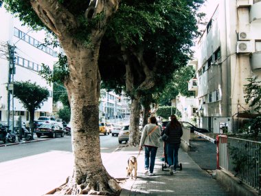 İsrail 'in Renkleri