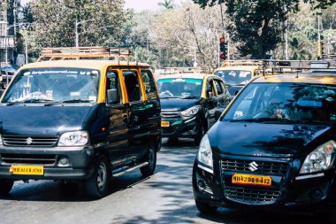 Hindistan'ın renkleri